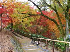 ＝2019古都京都もみじ満喫の旅2泊3日①＝から続きます。

北野天満宮を訪れました。境内のもみじ苑、御土居です。舞台から下へ降りていくと、いきなり錦模様の紅葉が広がります。ここには紙屋川に沿って350本の紅葉が植えられているそうです。