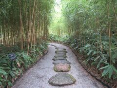 笹離宮入口に造られた竹林。日本らしさが感じられました。
入園料は800円ですが、令和2年はコロナウイルスに負けないようにという激励の意味を込めて無料で入ることができました。