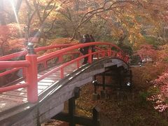 伊香保温泉についたらバスで「河鹿橋」へ。
紅葉の時期でしたので凄い人が沢山でした。