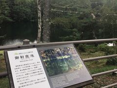 さて、この旅の直前に知った御射鹿池へ。大型バスも来ると聞いてビックリしましたが、時節柄かマイカーの人のみでのんびりしていました。