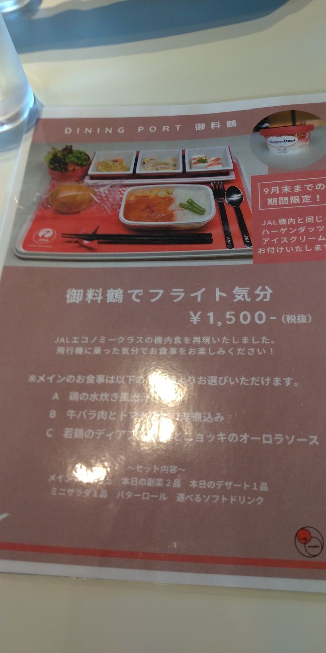 フライングホヌを撮影 2 修行組 成田 千葉県 の旅行記 ブログ By メイリンさん フォートラベル フライングホヌを撮影 2 修行組 成田 千葉県 の旅行記 ブログ By メイリンさん フォートラベル