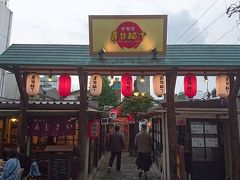 神社を出て色々プラプラ歩いていると、メガドンキホーテの近くに宇都宮屋台横丁というとても素敵なスポットを見つけました。
行かない訳にはいかないでしょう！