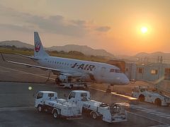 高知空港に到着したJAL。通路を挟んで左右2席ずつの小ぶりな機体。乗客はまばらでした。