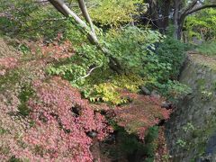 東京から　京都経由で奈良へ　

朝早く出発したので　
まだ午前中なのに　
東大寺の見学まで到達