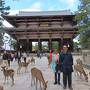 古都の紅葉（2）　☆　奈良公園と東大寺