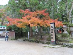 【萬葉植物園】
日本で最も古い約300種の萬葉集に詠まれた植物を植栽する萬葉植物園　

