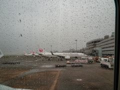 9月12日土曜 朝。

7:40発 JAL機の外は雨…( ´_ゝ`)
高知の天気も土日は雨模様。