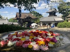 大谷本廟でお参りして。。京都駅まであと少しなので歩きます。フォーシーズンズやハイアットリージェンシーを通り過ぎます。泊まってみたいけど、、ハイアットリージェンシーやってないのかな？外国人が少ないから？