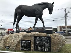 日高地方と言えばサラブレッドのふるさとというイメージ。
道の駅にはハイセイコーの銅像が。