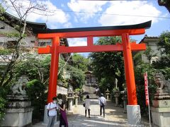 橋を渡ると宇治神社が鎮座しています。
