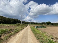 たまに車やバイクとすれ違う程度で歩いているのは私1人だけ。キャベツ畑を見ながらゆったり歩きました。