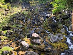 湯の滝に着きました。流れる水は少し温かいです。
湯の滝の広場には鹿さんの落し物が多数あるので、
足元に注意してください。