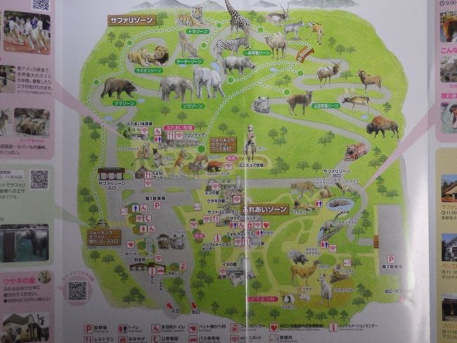 富士サファリパークとスカイウォーク 三島 静岡県 の旅行記 ブログ By カメワールドさん フォートラベル