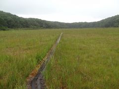 中間湿原の区域を歩きます。
雨水のみによって植生が維持されている高層湿原と、地下水で涵養され植生が維持されている低層湿原との中間の性質を持つのが中間湿原です。
日本では屋久島を南限として冷温帯に広く分布しているそうです。