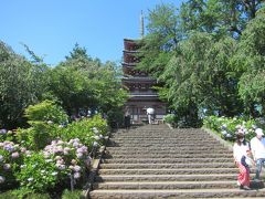 本土寺の五重塔