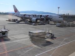 伊丹空港から羽田経由で帰ります。うれしいことに飛行機はディズニー仕様でした。中から見ると何も変わらないのですけどね。