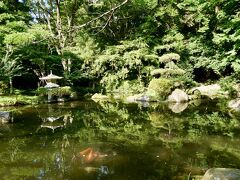 鳥居の手前にある神池。
小さいですが居心地が妙に良い。

まだまだ朝の早い時間ですが、次の目的地へ。