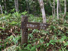 その後、知床五湖へ
今日は五湖全てまわることが出来ました。