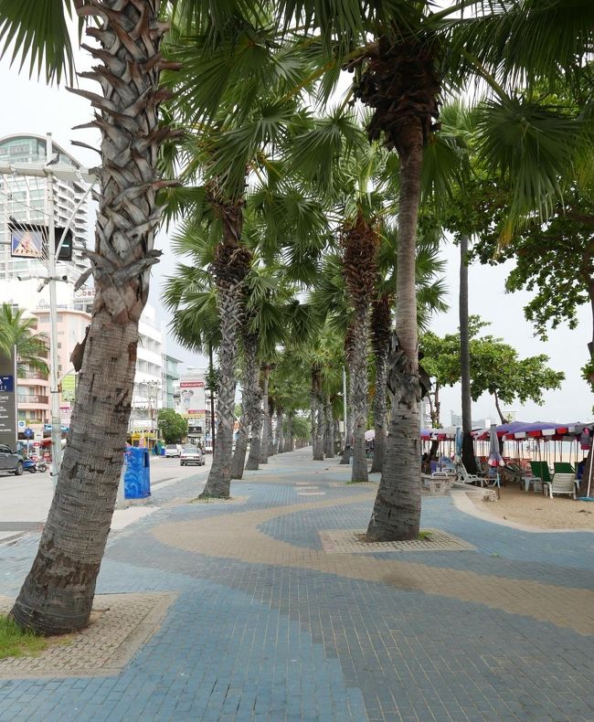 14：55<br />ガラン　ガラン　ガラン<br />ソイ3ほどで片膝が痛くなり引き返します。