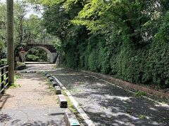 翌朝、様子を見るために西公園まで散歩。
夫は元々有休をとっていましたが
ＪＲは運休、地下鉄は部分的に運休、学校も休校。デパート全店休業。
バスも運転見合わせ、全て事前に休みを発表していました。

