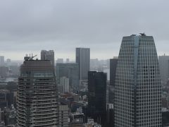 竹芝方面を望む。
画像中央付近、東京ポートシティ竹芝の右がホテルインターコンチネンタル東京ベイ。