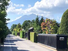 まっすぐに伸びた道が気持ち良いです。
道から岩木山が望めます。