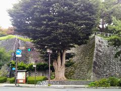 まもなく盛岡城跡公園に到着した。 石垣がなかなかいい具合である。