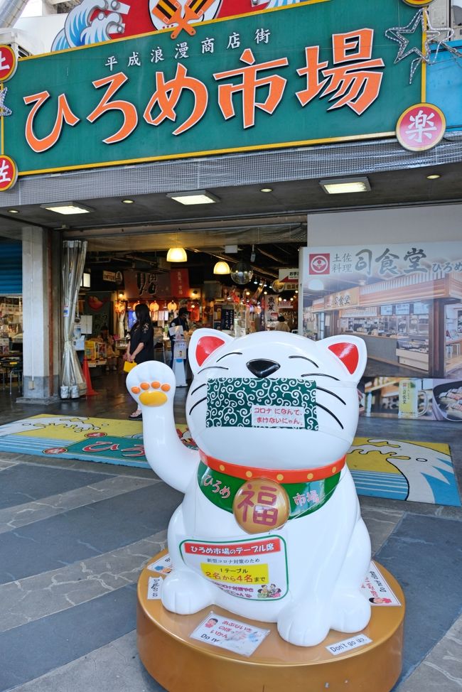 世界で2つだけのマルモッタン モネの庭 を訪ねて 青い睡蓮 青い蜂に邂逅 高知県の旅行記 ブログ By Akikoさん フォートラベル 世界で2つだけのマルモッタン モネの庭 を訪ねて 青い睡蓮 青い蜂に邂逅 高知県の旅行記 ブログ By Akikoさん フォートラベル