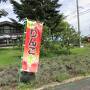 津軽満喫の旅①～高山稲荷神社の鳥居はなかなかに凄かった～