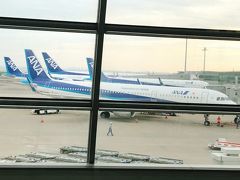 あっという間に　福岡空港到着です。