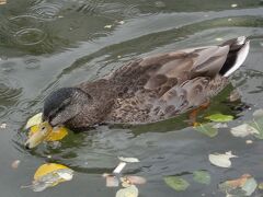 チョルトニン湖