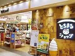 栃木県の物産展　とちまるショップ

なんと！　ほとんどの商品　３割引き！　お得

たくさん食料品　買っちゃいました