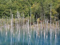 青い池。
広角で写すより標準か望遠で狙うほうが良い感じの写真になります。