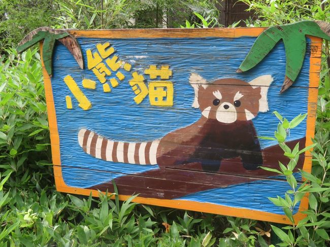 クオッカとトリプル赤ちゃん制覇の埼玉こども動物自然公園 後編 グンディとフェネックの赤ちゃんに会えた レッサーパンダはソウソウと双子の北園 東松山 埼玉県 の旅行記 ブログ By まみさん フォートラベル クオッカとトリプル赤ちゃん制覇の埼玉こども動物自然公園 後編 グンディとフェネックの赤ちゃんに会えた レッサーパンダはソウソウと双子の北園 東松山 埼玉県 の旅行記 ブログ By まみさん フォートラベル