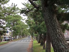 ２＜旧東海道松並木＞
駅から南に５分ほど歩くと、突然こんな風景が現れます。
これは、旧東海道の舞坂宿に続く「松並木」。約700mにわたって大小370本の松並木が続いています。
全国的にも、これだけの長さで松並木が残る場所は少ないでしょう。