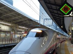 東京駅6時8分発 とき301号。
上越新幹線に乗るのは従妹の結婚式が山形県鶴岡市で行われた時以来なので、ほぼ30年ぶりかと思います。今年は3月に東海道新幹線(息子の居る生駒市往復に名古屋まで片道)、6月に初・山形新幹線(クラス会旅行で銀山温泉へ大石田まで往復)だし、例年に無く新幹線に乗る機会が多いのです。う～ん、やっぱ勿体無いなぁ
