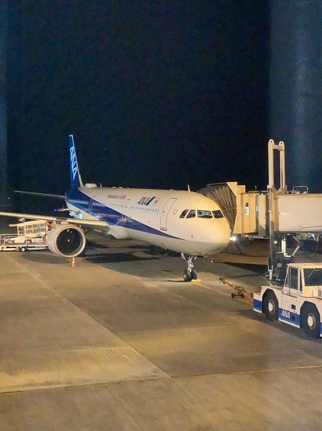 あっという間に鹿児島空港。<br />乗り継ぎ時間が1時間弱。<br />ラウンジに行ってみるも座る場所がほとんど無かったのでゲート前で時間を潰したら羽田に戻ります。