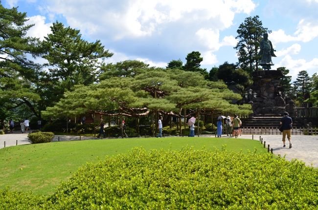 素晴らしい唐崎松。広い兼六園、コロナの影響かベンチなどがほとんどなくて、ちょっと休む場所がないのは残念。