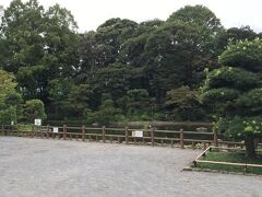 いつものお散歩コース戸越公園。
午前中だからか今日は人影ゼロ。