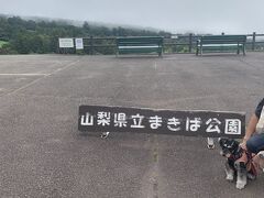 チェックアウトして向かったのは、まきば公園