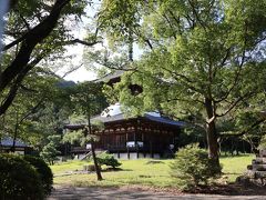 さてさて、由良町を脱出して北に向かう
明日は友の島に行けるかな？それともまたダメかな？の様子見でウロウロ

岩出市の「根来寺」

