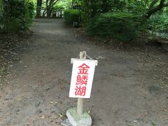 翌朝。朝風呂を浴び、6時半頃に出発です。熊本駅に12時にレンタカーを返さねばなりません。途中で金鱗湖へ。