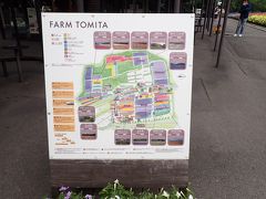 季節にはラベンダーで埋め尽くされる
「ファーム富田」
最寄り駅は「ラベンダー畑駅」！ロマンティック。

場内地図もラベンダーカラー。