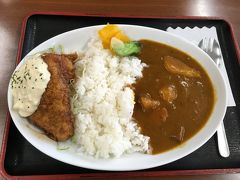 近くの道の駅に寄りました。宮崎県に入ったのでチキン南蛮カレーを。美味しかったです！