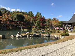 旅館から少し歩いて天龍寺に行ってみました。
嵐山、亀山を借景とした池泉回遊式庭園というのだそうです。紅葉が始まっており平日にもかかわらず観光客でイッパイ。
こんな美しい庭園は初めてです。