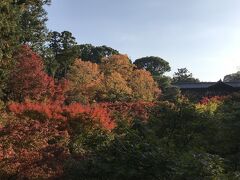 朝食後京都の友人が勧めてくれた東福寺へ。
紅葉の時期になるとテレビでも紹介される紅葉の名所ですね。
臥雲橋からの通天橋。この橋の上では「立止まらないように」と案内板がたっていましたが、まだシーズンには若干早く、朝も早かったせいか人も少なくゆっくり写真が撮れました。