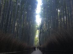 翌日も午前中はセミナーですが、早起きして始まる前に竹林の小道に行ってみました。
歩いて10分ほどでしょうか。まだ早いので人はそう多くありませんでしたが、外国人の旅行者の方？ウェディングドレスで写真を撮っておられました。