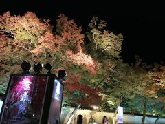 ホテルのすぐ前が天龍寺の塔頭の宝厳院で、まさに紅葉の時期だけの特別公開をしているということなので、夕食後行ってみました。