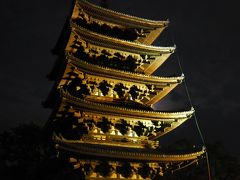 五重塔もライトアップ。