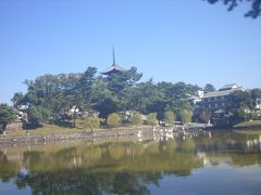 次は興福寺です。

猿沢池から見る興福寺五重塔です。

せっかくなので撮ってみました。